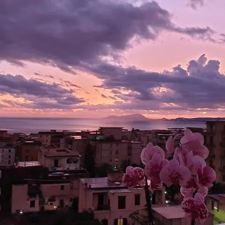 Casa Angelina 3*