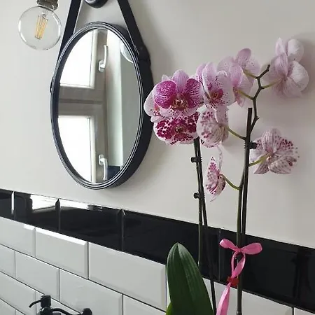 Casa Angelina Bed & Breakfast Ercolano